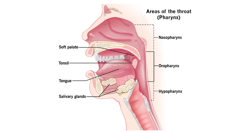 Tonsil Cancer / Oropharyngeal Cancer
